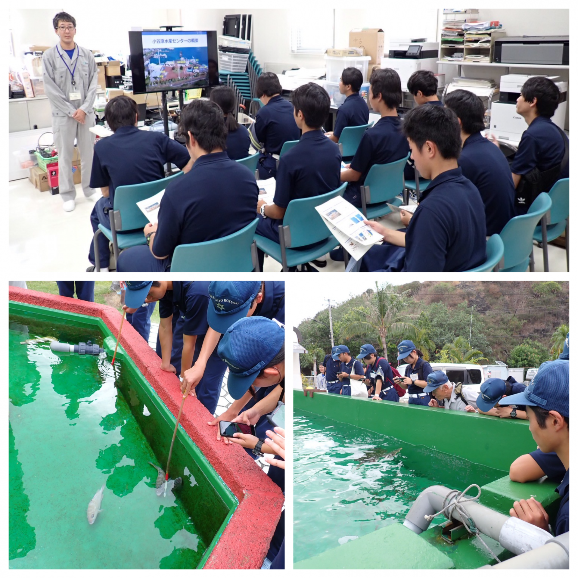 Blank 3 Grids Collage - 2025-10-25T085141.940